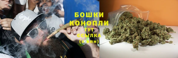альфа пвп Бердск