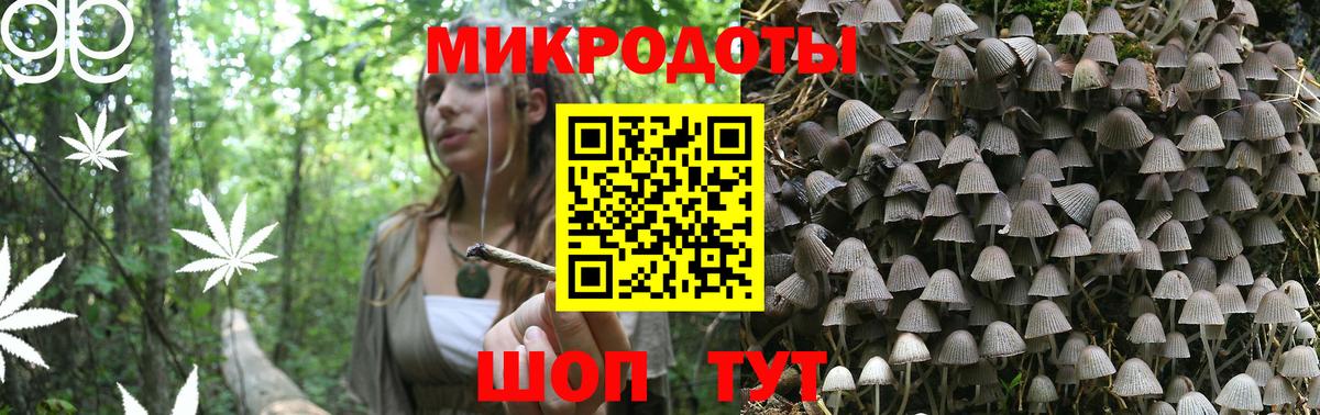 Галлюциногенные грибы Cubensis Котлас