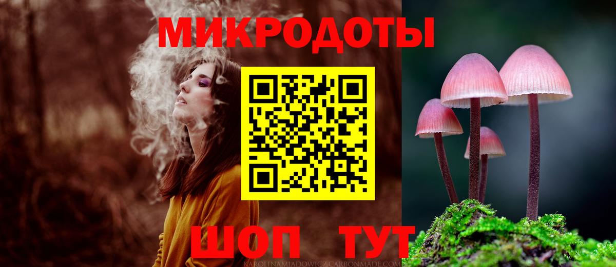 Галлюциногенные грибы мицелий  Вход с VPN  Псилоцибиновые грибы Psilocybe  Котлас 