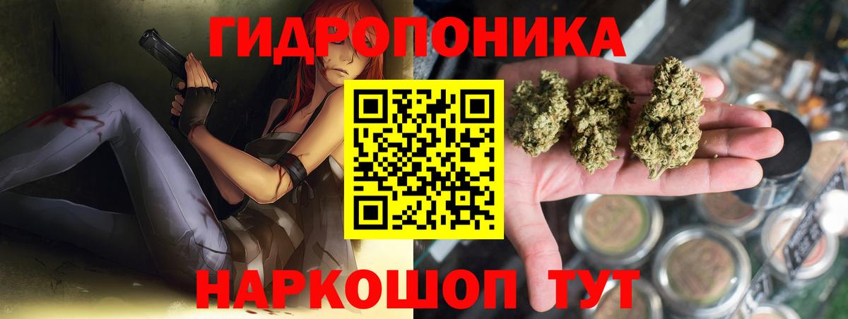 Бошки Шишки семена Котлас